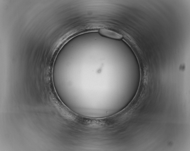 X0000113580786200910021651