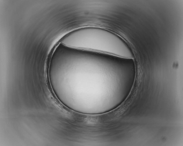 X0000113580788200910021651