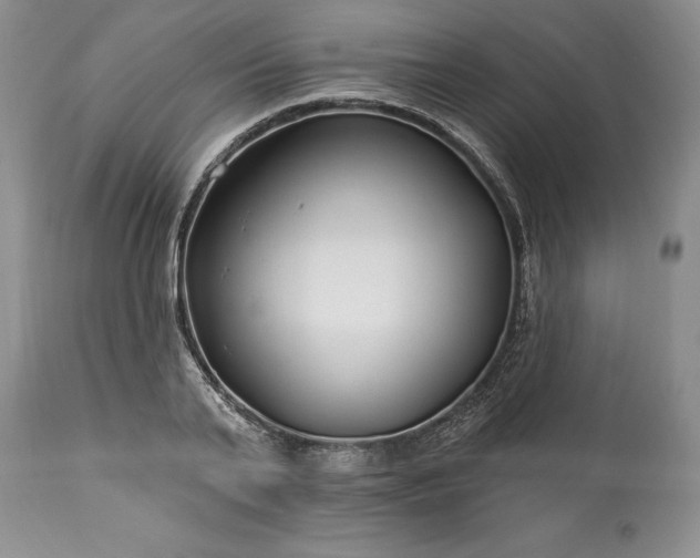 X0000113580791200910021651