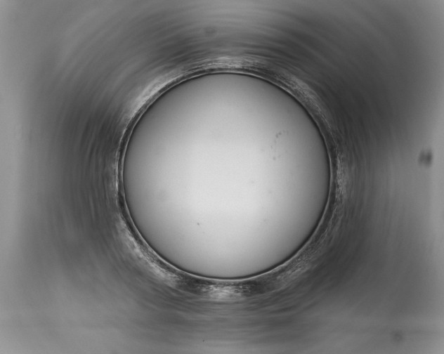 X0000113580794200910021651