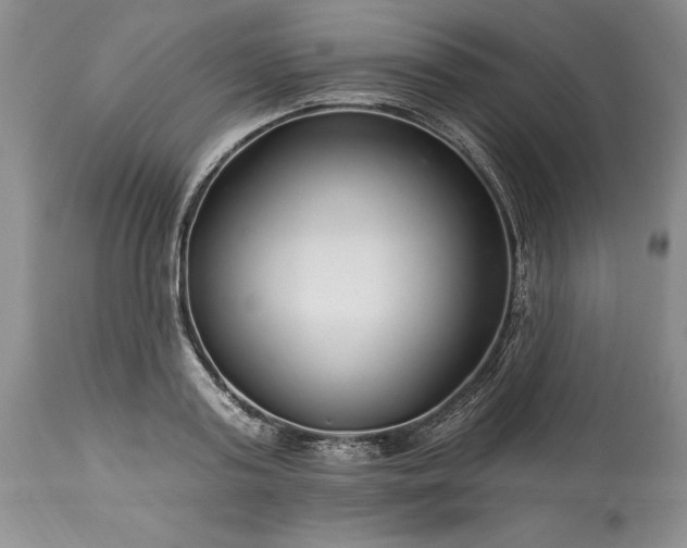 X0000113580795200910021651