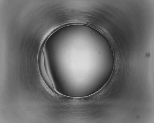 X0000113580796200910021651