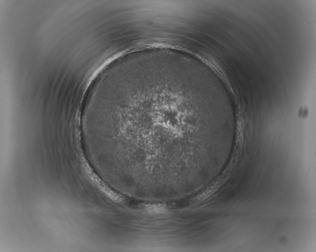 X0000113580798200910021651