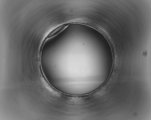 X0000113580800200910021651