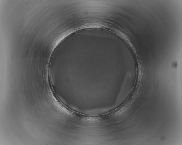 X0000113580802200910021651