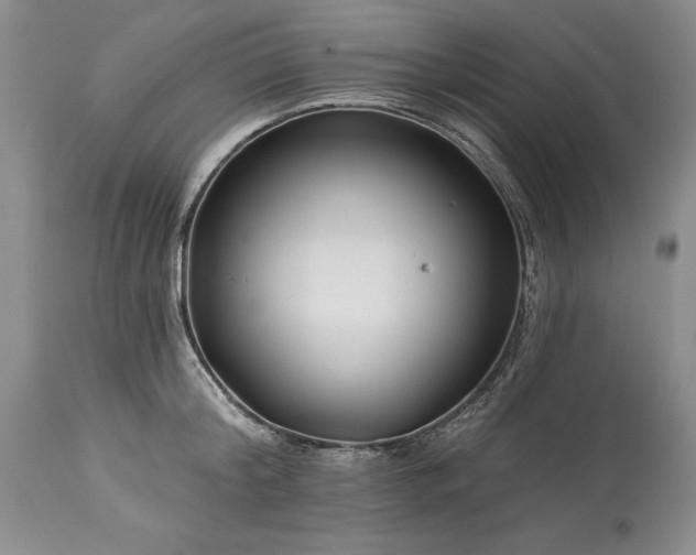 X0000113580804200910021651