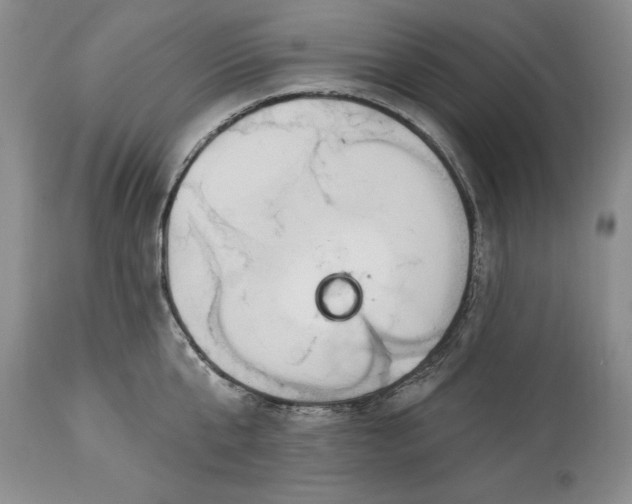 X0000113580807200910021651