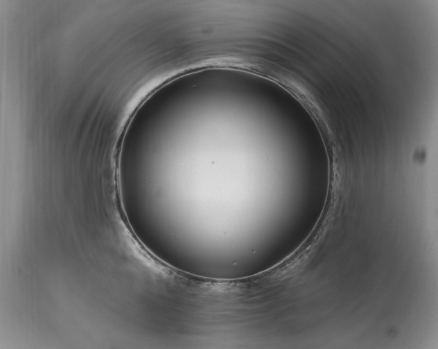 X0000113580808200910021651