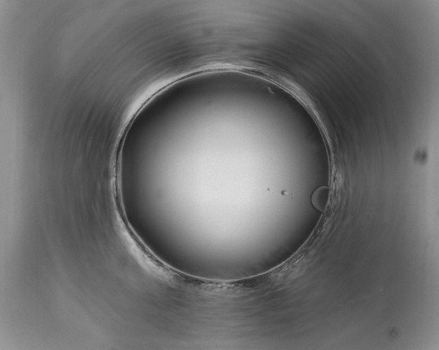 X0000113580811200910021651