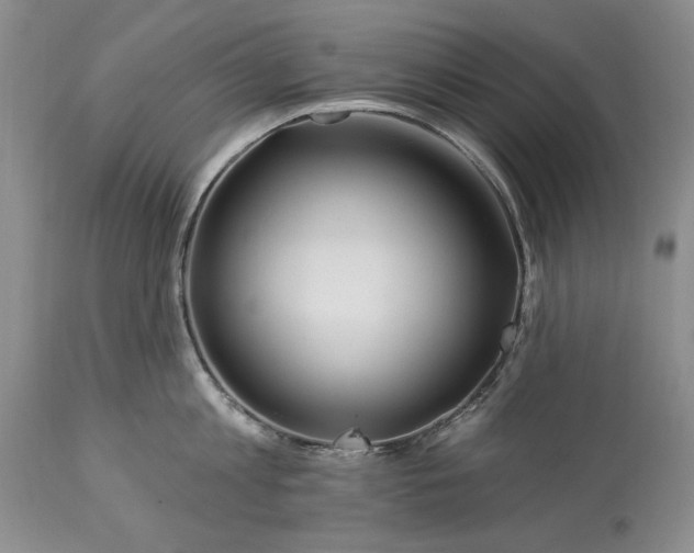 X0000113580813200910021651