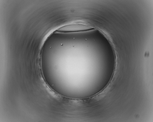 X0000113580816200910021651