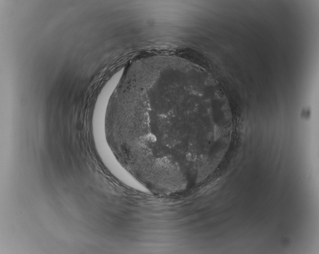 X0000113580818200910021650