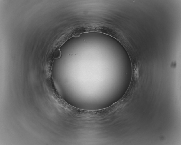 X0000113580819200910021650