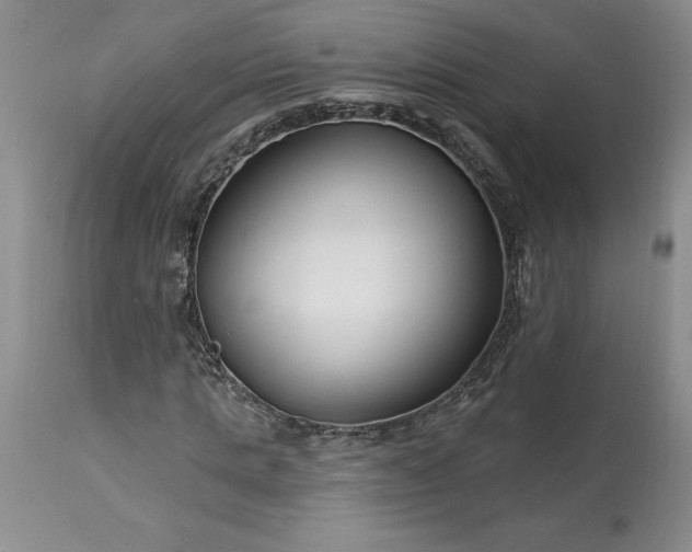 X0000113580821200910021650