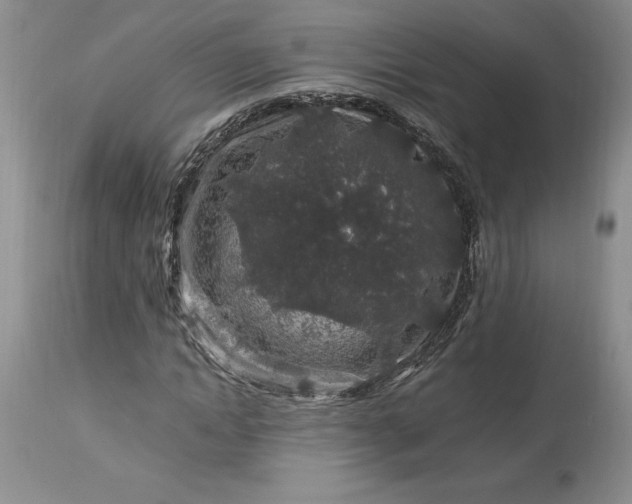 X0000113580822200910021650