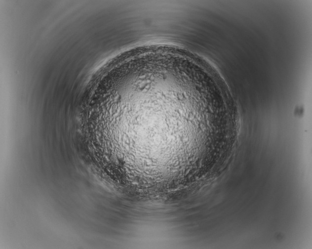 X0000113580823200910021650