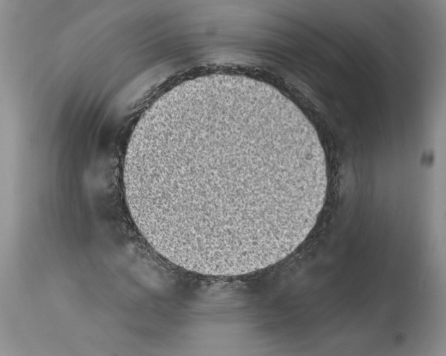 X0000113580824200910021650