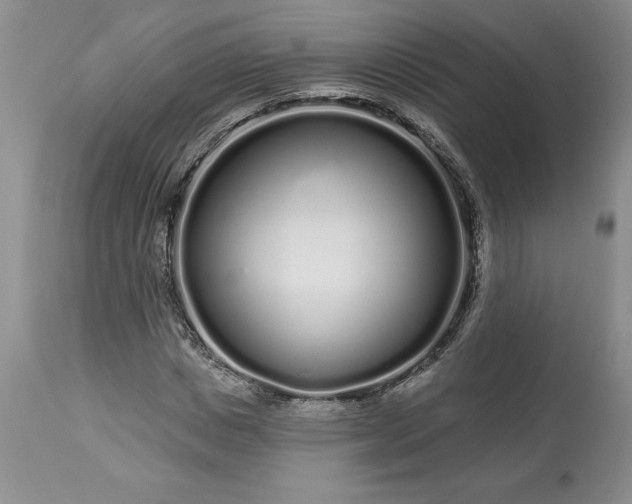 X0000113580825200910021650