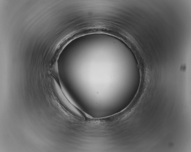 X0000113580826200910021650