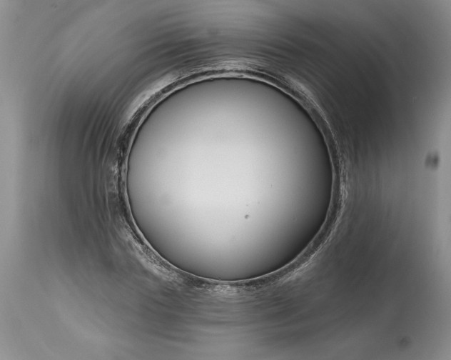 X0000113580827200910021650