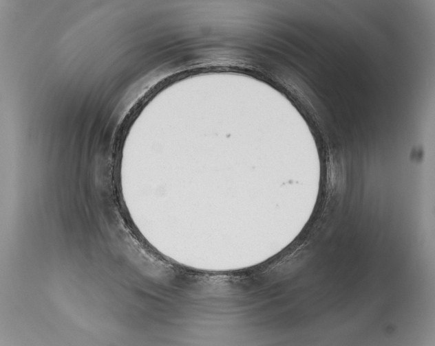 X0000113580828200910021650