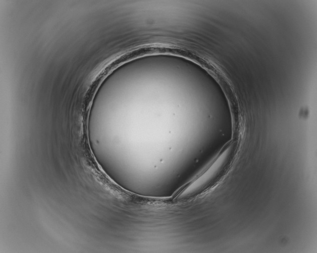 X0000113580829200910021650