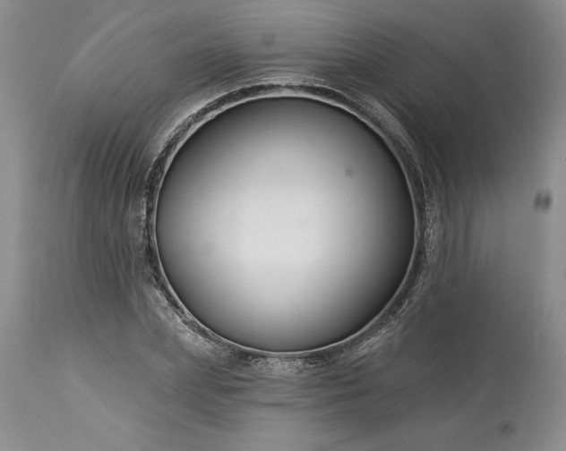 X0000113580831200910021650