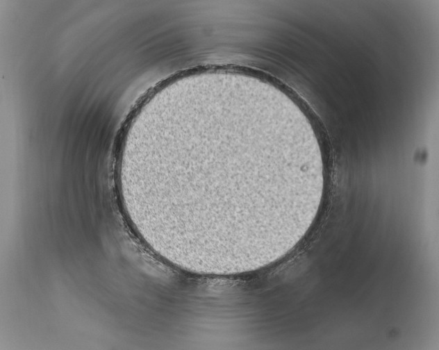 X0000113580832200910021650