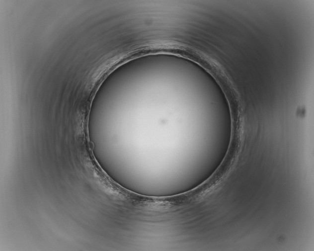 X0000113580833200910021650