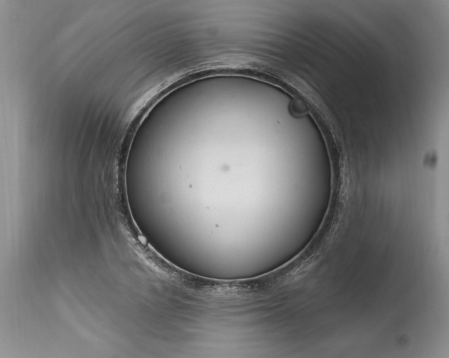 X0000113580834200910021650