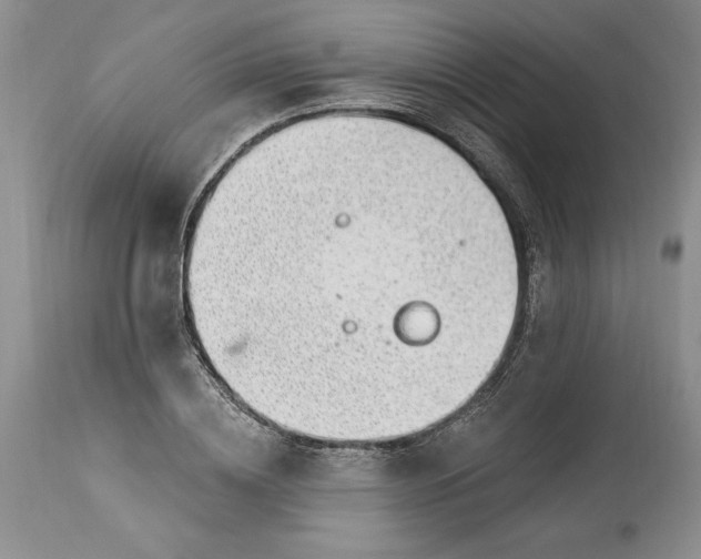 X0000113580836200910021651