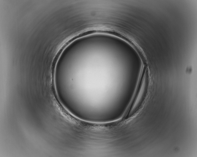 X0000113580837200910021651