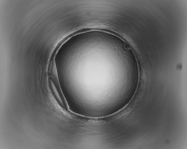 X0000113580840200910021651