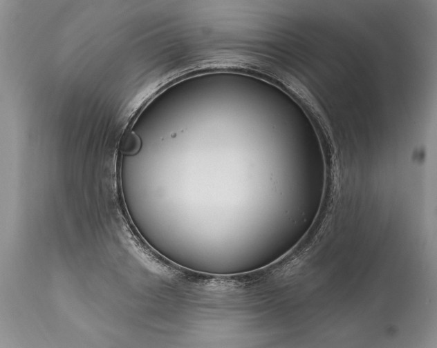 X0000113580842200910021651