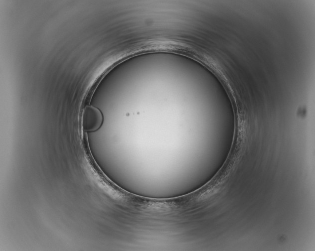 X0000113580843200910021651