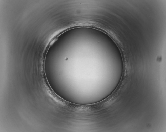 X0000113580846200910021651