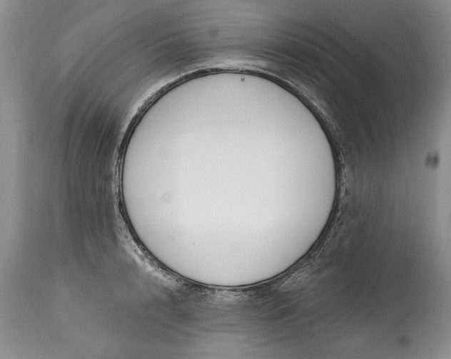 X0000113580848200910021651