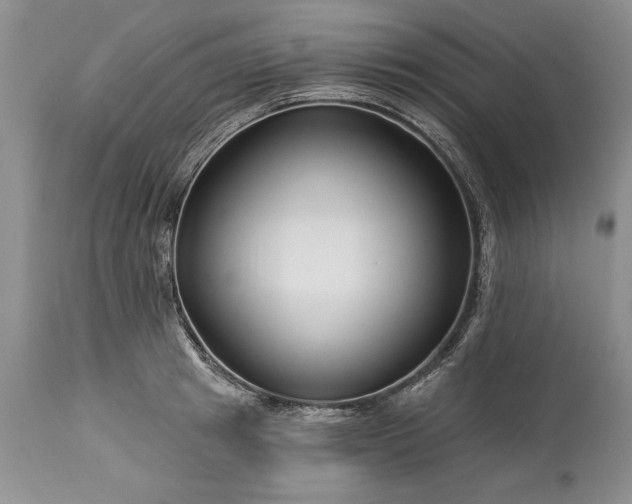 X0000113580849200910021651