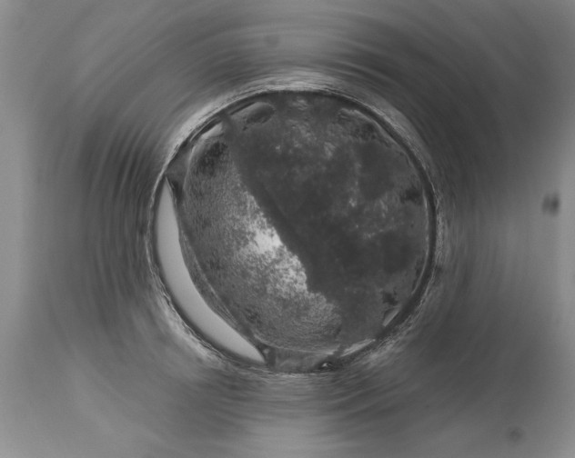 X0000113580850200910021651