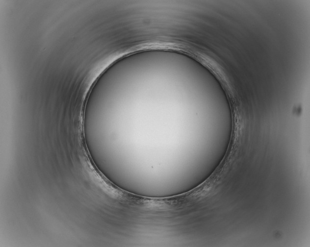 X0000113580852200910021651