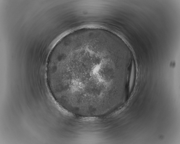 X0000113580853200910021651