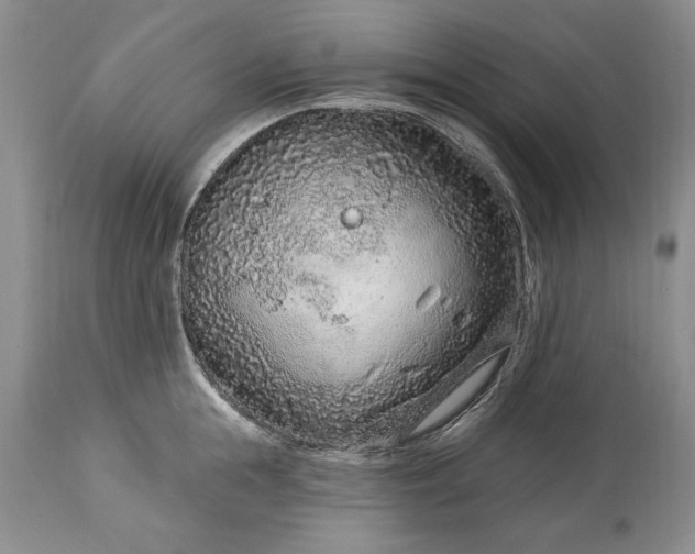 X0000113580855200910021651