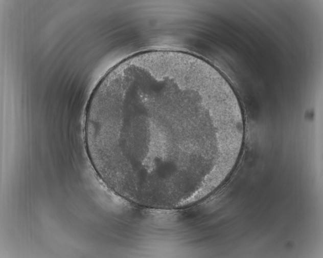 X0000113580856200910021651