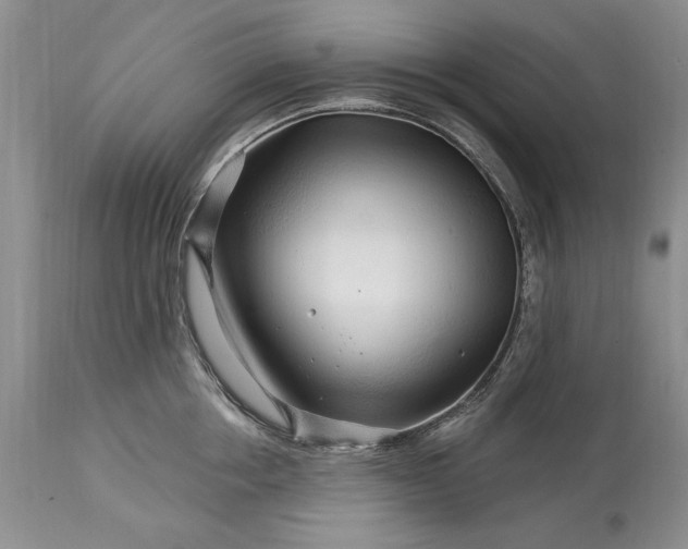 X0000113580858200910021651