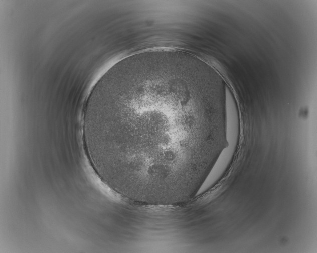 X0000113580859200910021651