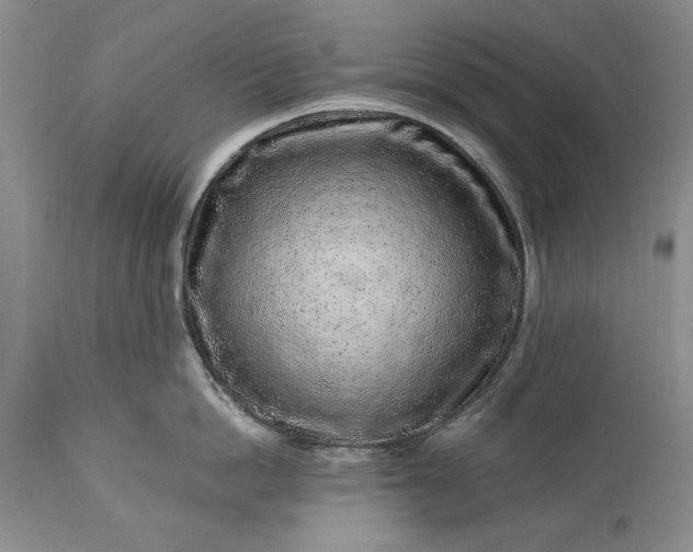 X0000113580862200910021651