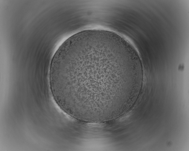 X0000113580863200910021651