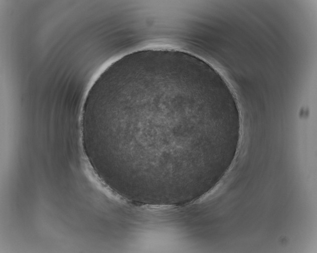 X0000113580864200910021651