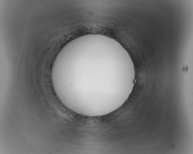 X0000113580865200910021650