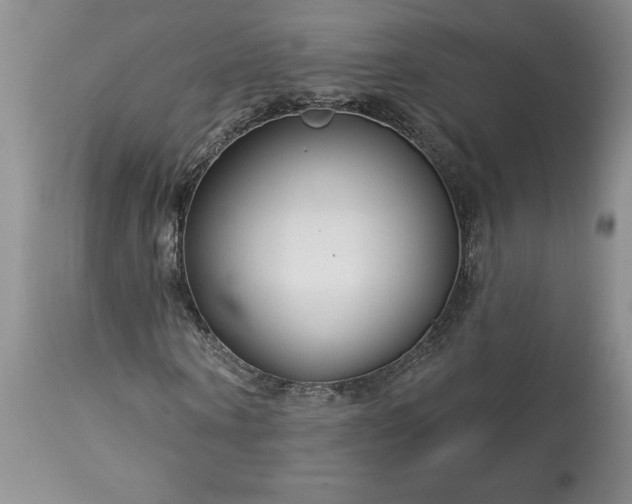 X0000113580866200910021650